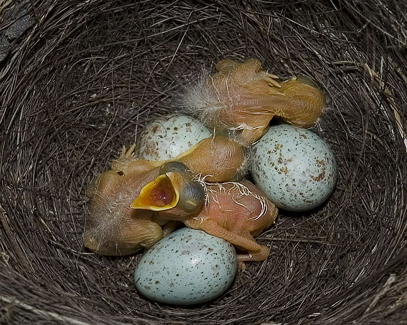 [原创]生生不息
