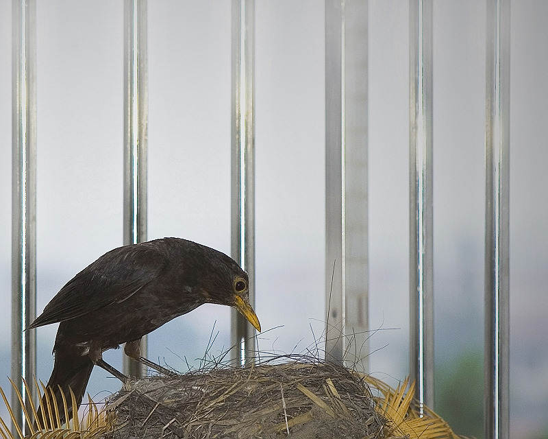 [原创]生生不息