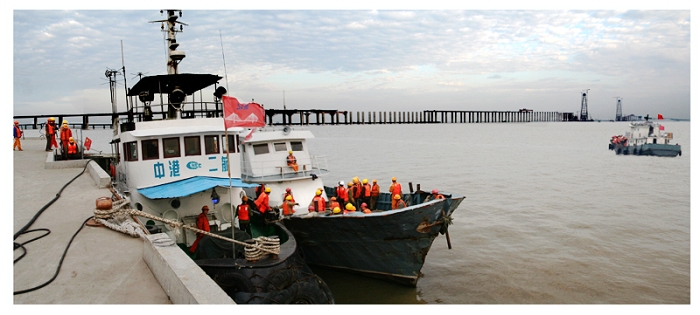 发几张苏通大桥《去时迎朝晖 夕归踏晚霞 我为祖国造大桥》