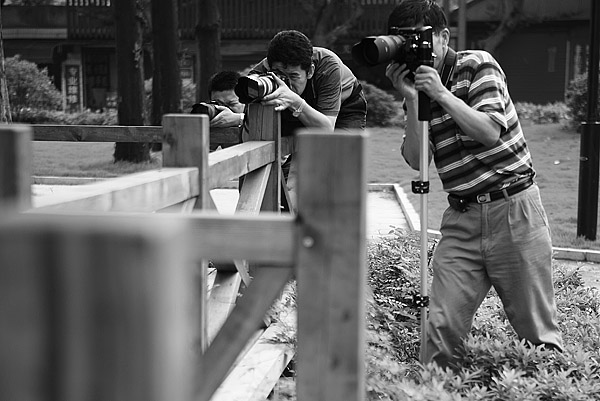 7月9日外拍活动作业及花絮---作者：大千