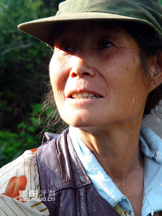 希望——麦田计划