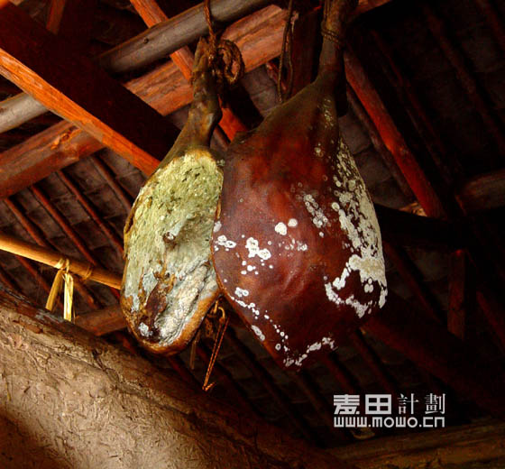 希望——麦田计划