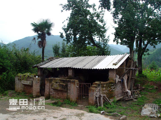 希望——麦田计划