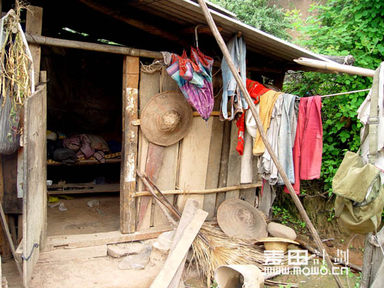 希望——麦田计划