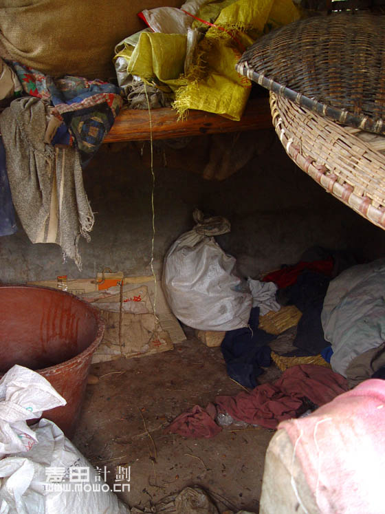 希望——麦田计划