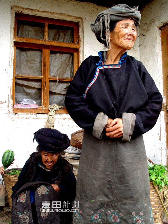 希望——麦田计划