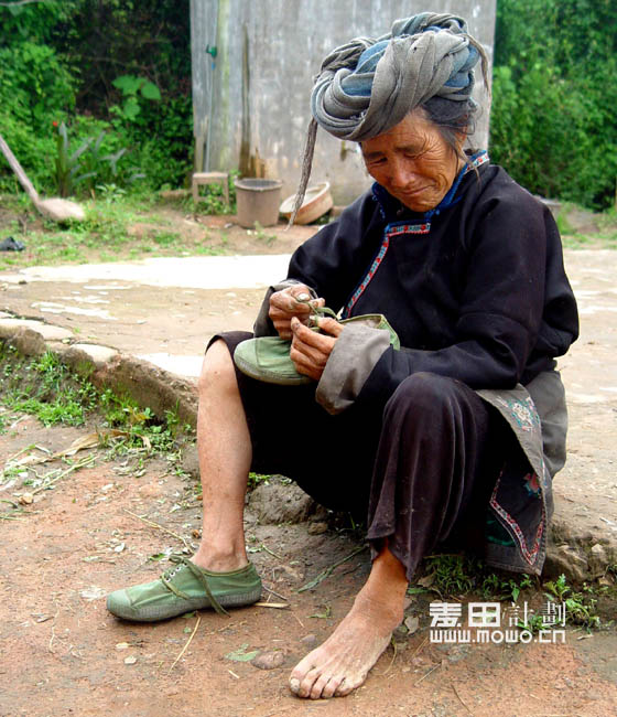 希望——麦田计划