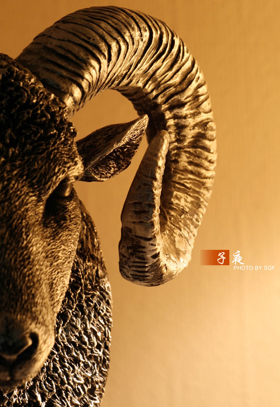 出售98新佳能 EF17-85IS防抖镜头 + 原厂遮光罩