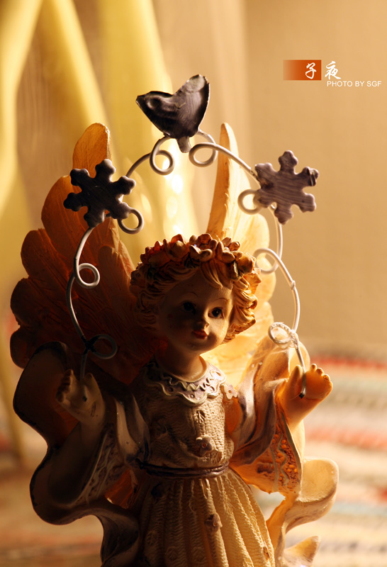 出售98新佳能 EF17-85IS防抖镜头 + 原厂遮光罩