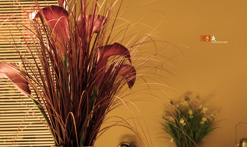 出售98新佳能 EF17-85IS防抖镜头 + 原厂遮光罩