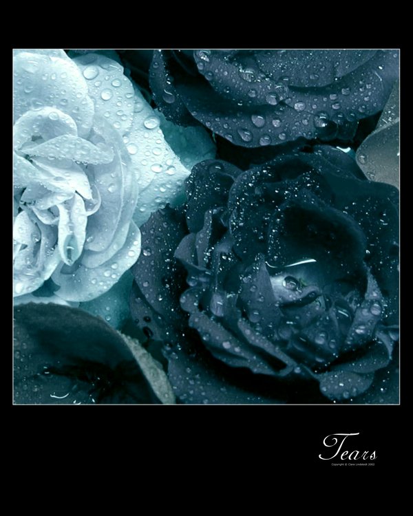 更年期遐想。。。