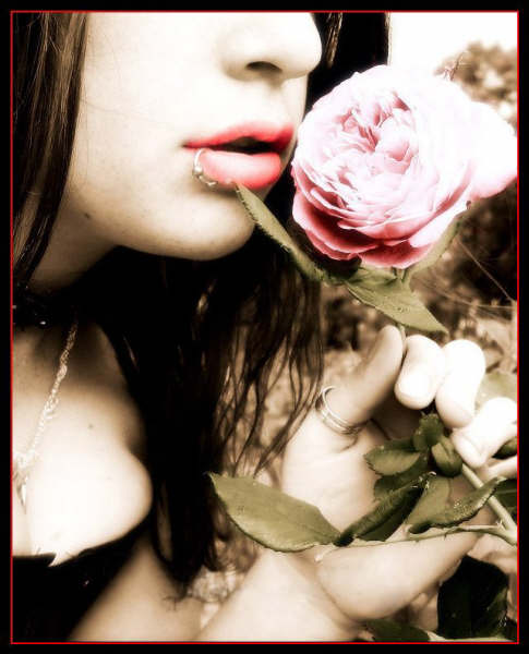 更年期遐想。。。