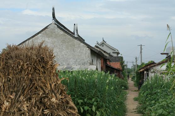 [原创]农村等待包装中