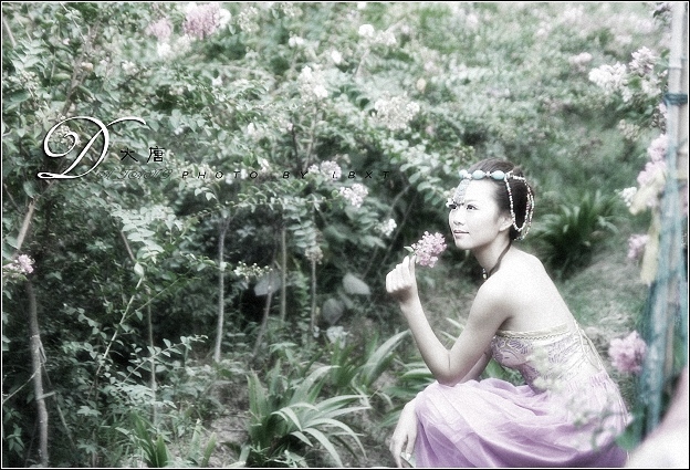 梦回唐朝(825修改)