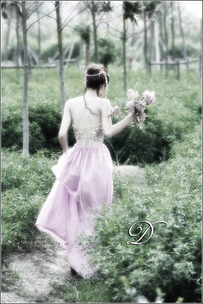 梦回唐朝(825修改)