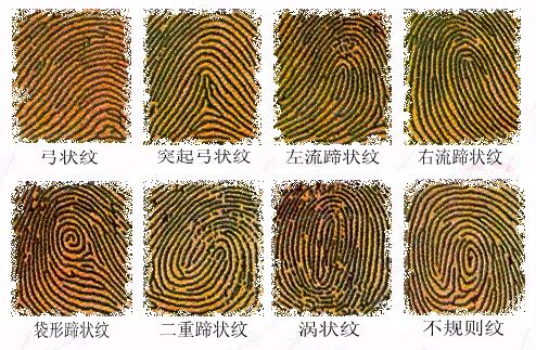 【你的爱情观在你是食指上】