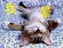 梅兰梅兰我爱你狂嗲版