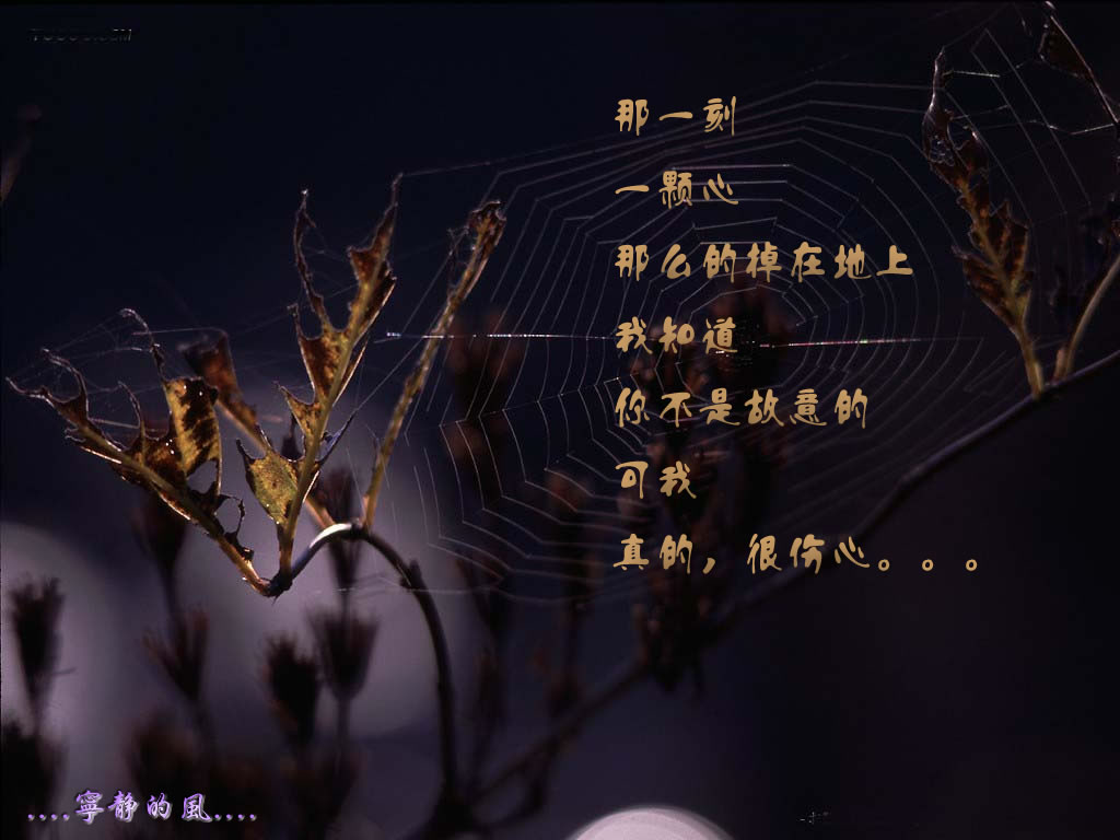 【不想看见你哭】因为我会比你更伤心！