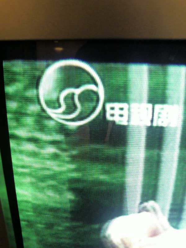 他们剽窃了南通的台标？？？？