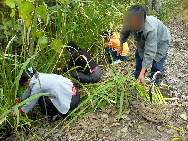 如皋杂记－－手机摄