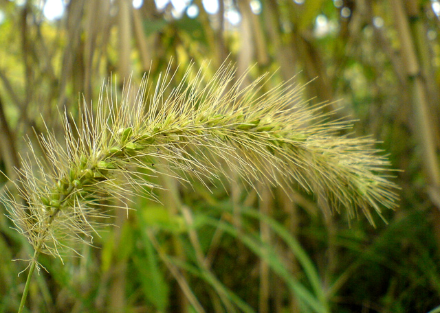 如皋杂记－－手机摄