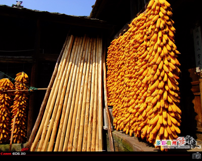 [原创]结伴同行，饱览贵州
