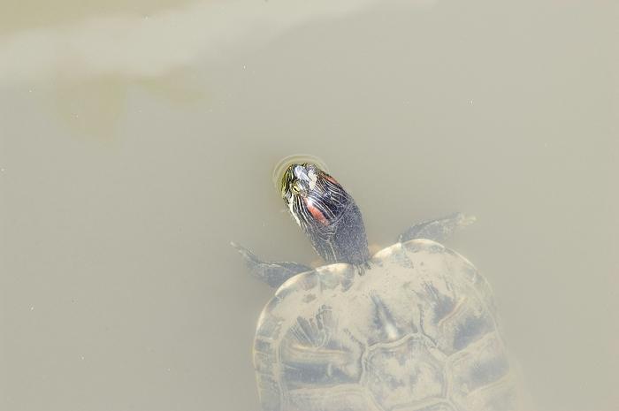 [原创]千里寻夫，万世因缘