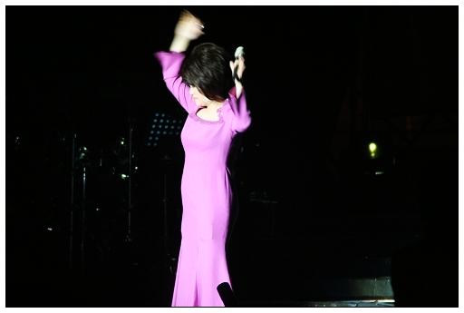 [Iven报道]蔡琴•不了情 演唱会