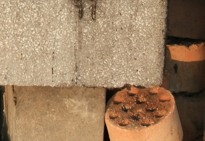 新进EOS-40D , 测试贴