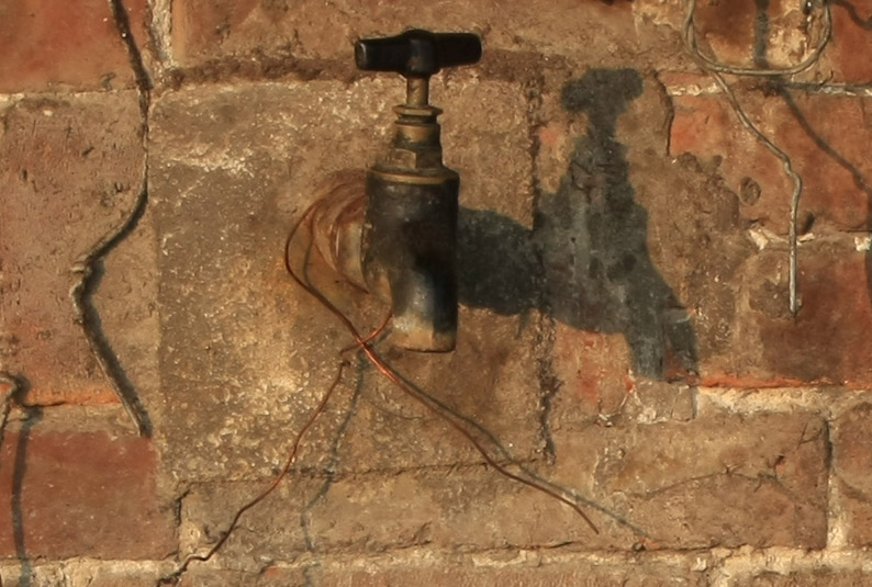 新进EOS-40D , 测试贴