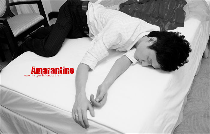 【Amarantine】＜＝＝＝婚礼跟拍