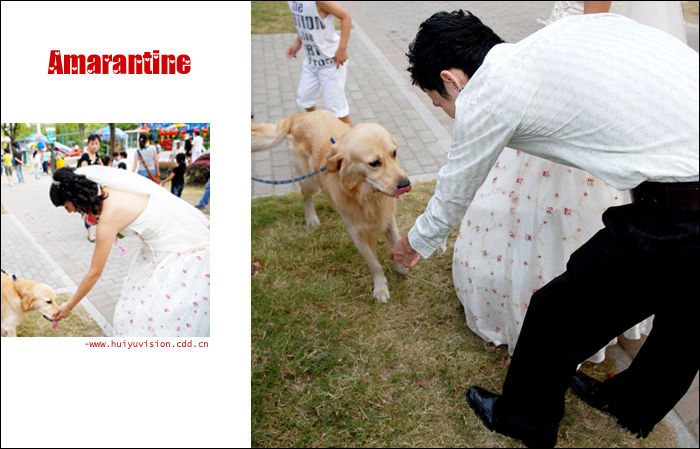 【Amarantine】＜＝＝＝婚礼跟拍