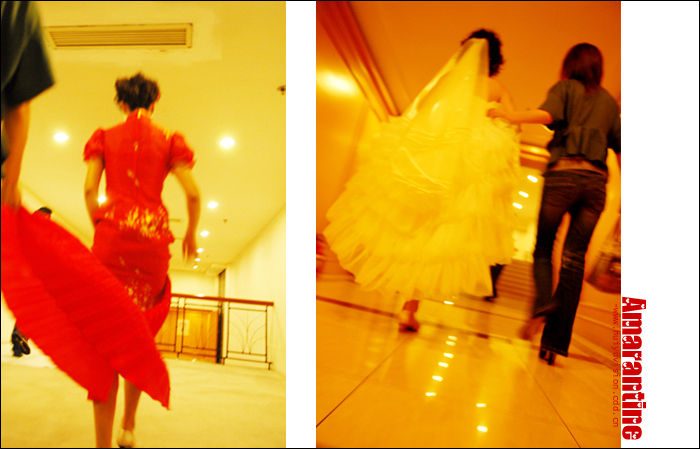 【Amarantine】＜＝＝＝婚礼跟拍