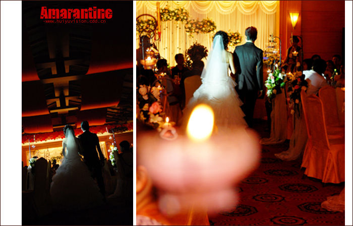 【Amarantine】＜＝＝＝婚礼跟拍