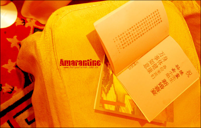 【Amarantine】＜＝＝＝婚礼跟拍