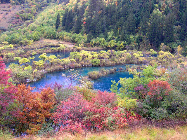 神奇的九寨  人间的天堂(图文游记）