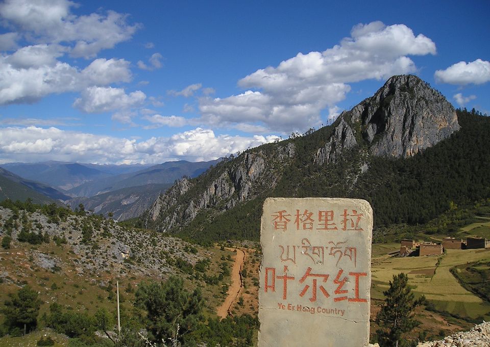 什么时候才能重回青藏高原