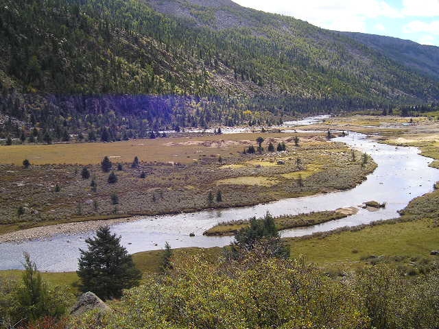 什么时候才能重回青藏高原