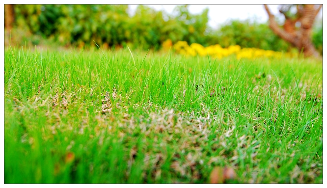 [原创]路.瀑.莲.花.草.阳