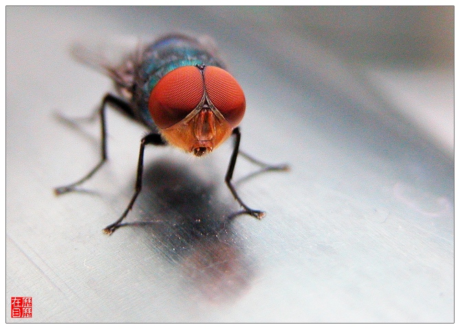 《11月1日也是多云》