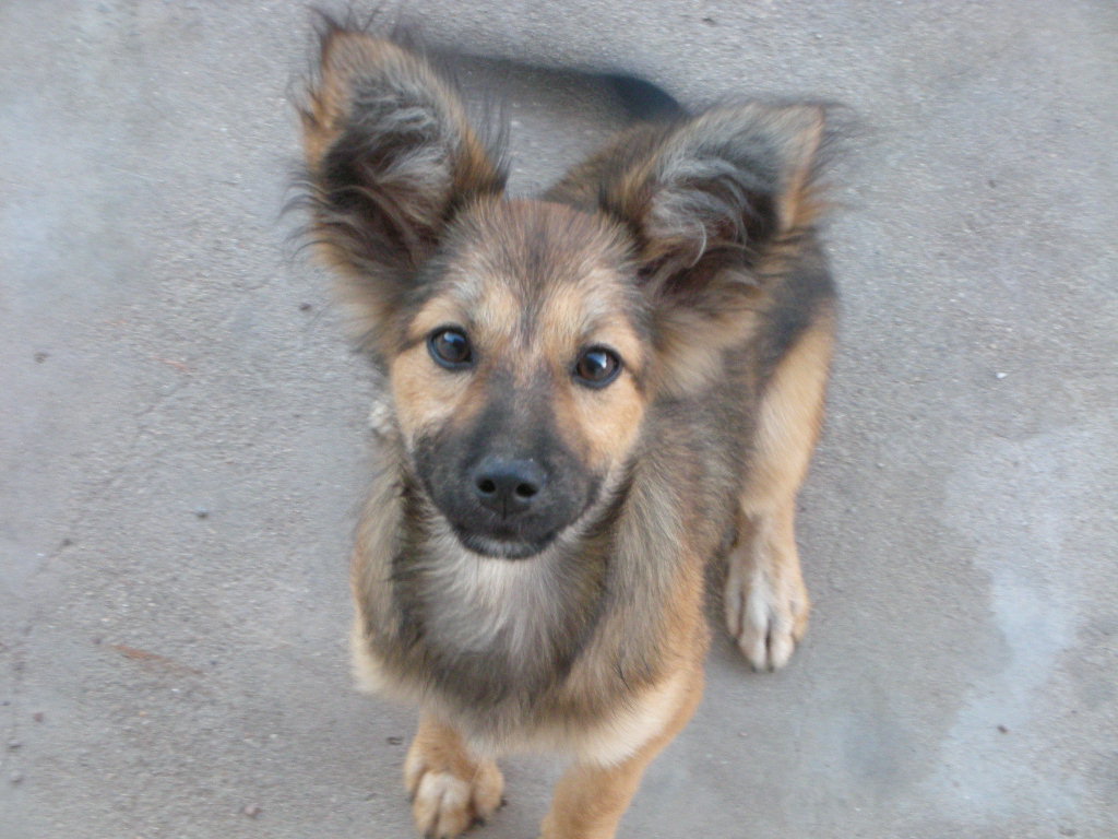 这东西好玩把,买了过冬