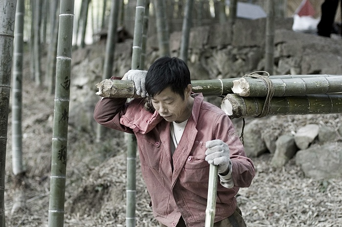 [原创]白水涧放竹人