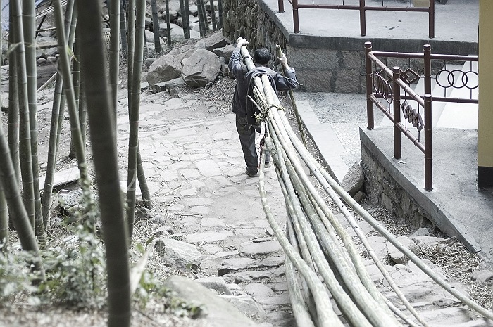 [原创]白水涧放竹人