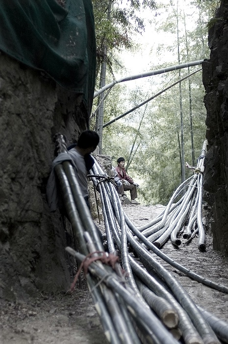 [原创]白水涧放竹人