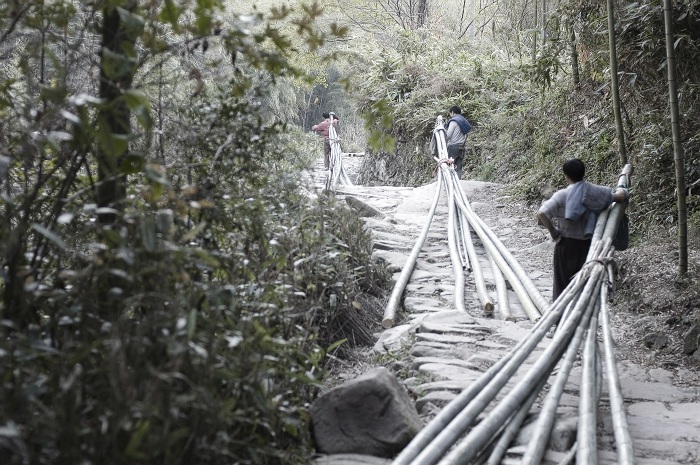 [原创]白水涧放竹人