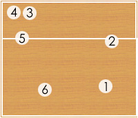 [技术分享]拦网与防守的技战术