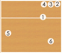 [技术分享]拦网与防守的技战术