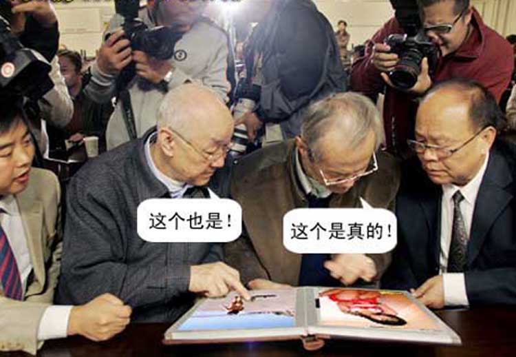 [原创]南通农民王正龙在狼山景区拍摄到野生狼山狼照片