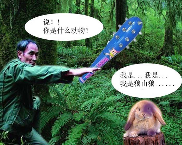 [原创]南通农民王正龙在狼山景区拍摄到野生狼山狼照片