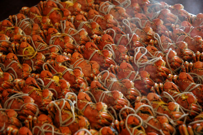 [原创] "桔"黄蟹肥,苏州行!